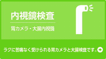 内視鏡検査