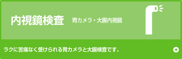 内視鏡検査