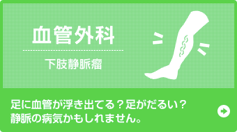 血管外科